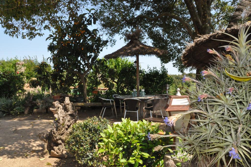 Masferrer Appartement