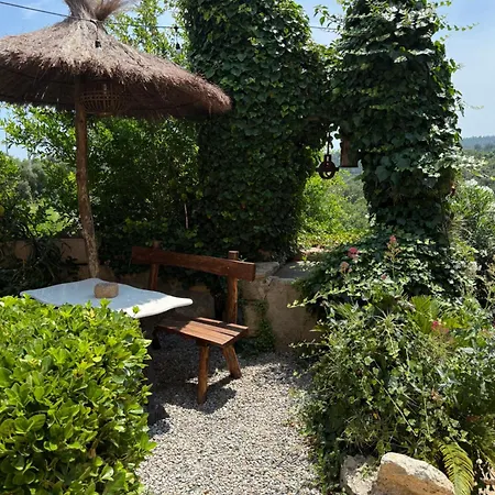 Can Masferrer Riudarenes Exterior photo