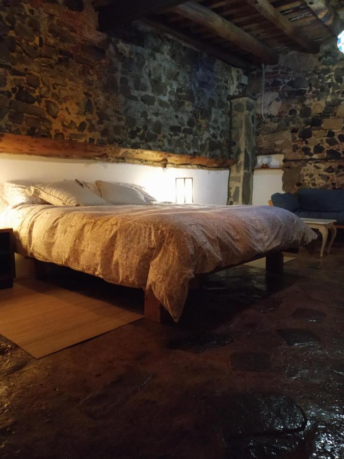 Apartament Masferrer *