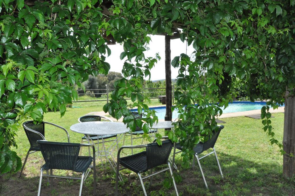 Apartment Can Masferrer Riudarenes