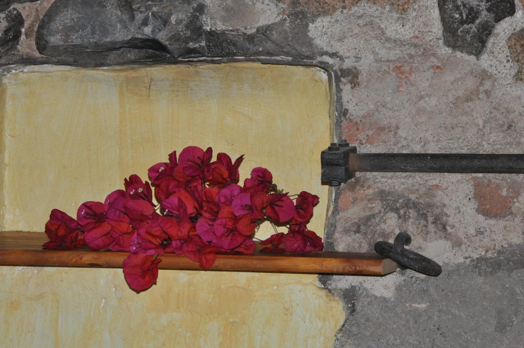 Masferrer * Riudarenes